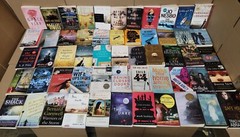 15 POUNDS Bulk Fiction Books Lot Trade Paperback Mystery Romance Thriller Novels