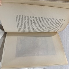 The New Palestine W.D McCrackan 1922 Antique Hardback First Edition