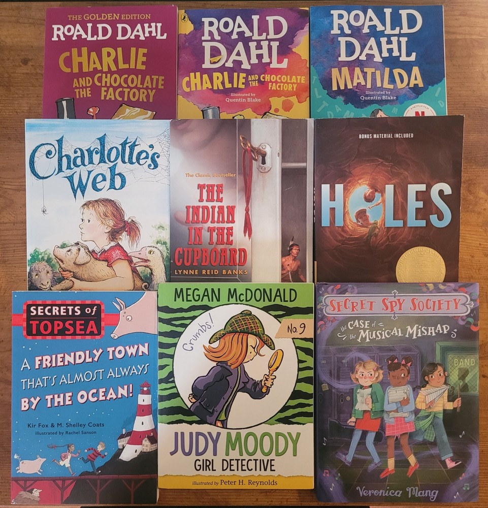 Children’s Chapter Book Lot Paperback Kids 7-11 Years