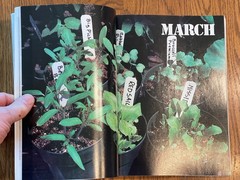 „The New Victory Garden” VTG Book by Bob Thomson, 1st Edition, 1987, 294 Pages