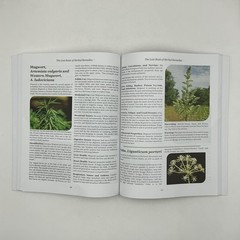 THE LOST BOOK OF HERBAL REMEDIES NICOLE APELIAN CLAUDE DAVIS 2021 PAPERBACK