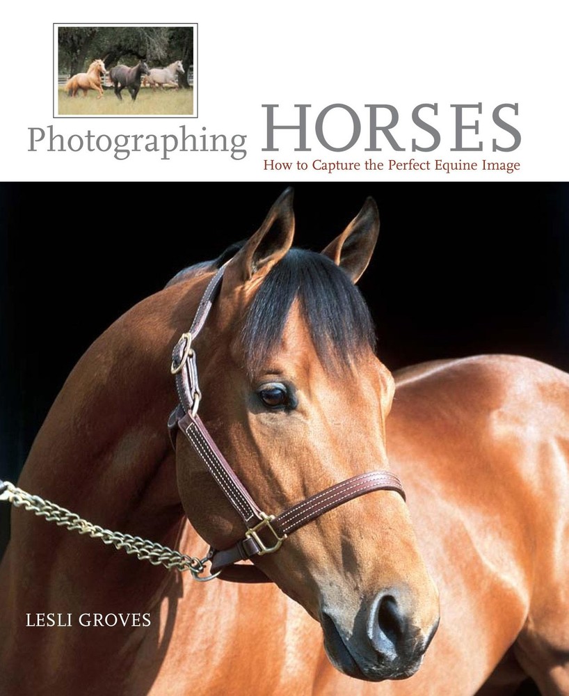 Photographing Horses: How To Capture The Perfect Equine Image – hardcover Gr…
