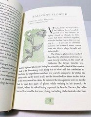 100 Flowers And How They Got Their Names By Diana Wells