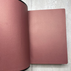 New American Bible Saint Joseph Edition 611/10B – Catholic