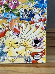Let’s Find Pokémon! Special Complete Edition Hardcover