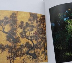Toshiro Kawase – „God’s Tree: Go/Visit” Japanese sacred tree art