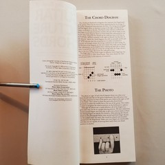 The Gig Bag Book of Guitar Picture Chords 1995 Amsco Publications Chart Diagrams
