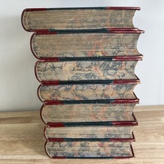 Charles Dickens Collected Works Illustrated Chapman & Hall Victorian Novels