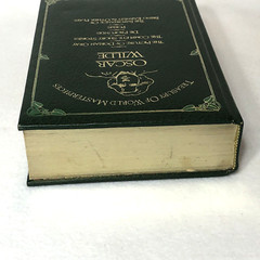 Oscar Wilde Treasury of World Masterpieces Complete & Unabridged 784 Pages, 1983