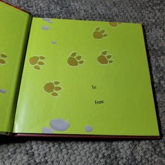 How to Catch a Dinosaur Adam Wallace 2018 Illustrated Kids Book Hardcover