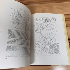 The Genera of Orchidaceae in Hong Kong by Shiu-ying Hu VERY GOOD VTG 1977 1st Ed