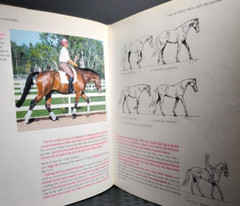 Cross-Train Your Horse Jane Savoie HC 1998 Dressage Training Equestrian