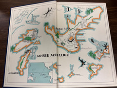 Manga Reva : The Forgotten Islands by Robert Lee Eskridge – 1st Edition – 1931