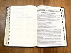 French Bible LARGE PRINT, Segond 1910 Bonded Leather Thumb Index, Red Letter
