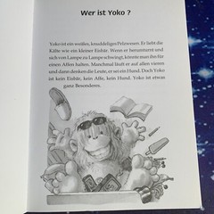 Yoko und die Gruselnacht im Klassenzimmer Band 3 Knister Buch Zustand sehr gut