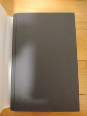 Stripped Brian Freeman 2006 1st Edition 1st Printing Hardcover DJ Thriller Vegas