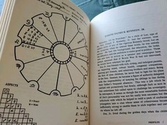 Astrology in Action Marcia Moore & Mark Douglas HC 1st Ed. SIGNED