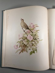 Birds and Blossoms Fidelia Bridges 1887 Gilt Victorian Gift Book Antique Beauty