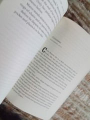 The Night Circus – Paperback By Erin Morgenstern
