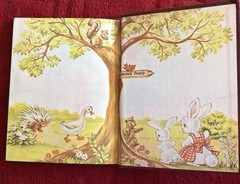 The Little Rabbit Who Wanted Red Wings by Carolyn Sherwin Bailey P&M 1961