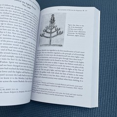 Magdalene’s Ascension : Mary’s Journey to Becoming Light by Annine van der Meer
