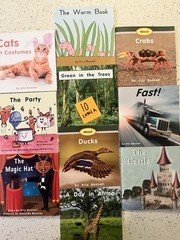 60 RR Books F&P Text Level decodable Leveled (A-F) Readers Lot, Paperback