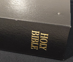 Hendrickson Holy Bible NLT Center Column Reference Ed. 2020 Loose Leaf 3-Ring