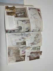 Fashion Portfolio: Design and Presentation by Kiper, Anna [Paperback, 224 pages]