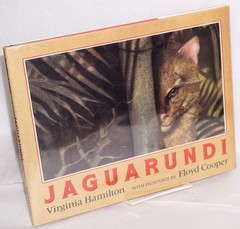 Jaguarundi