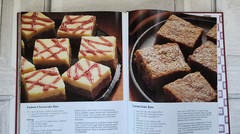 Cooking Club America Ultimate Cookies & Bars hardcover cookbook 2007 255 pages