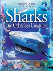 Sharks Paperback Alan, Taylor, Leighton Dyer