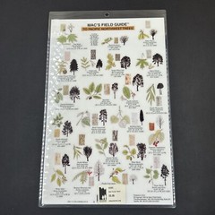 Vintage 1994 Macs Field Guide To Pacific Northwest Trees Laminated 10X7.5 in