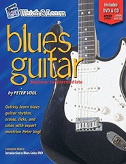 BLUES GUITAR BOOK DELUXE EDITION WITH AND By Peter Vogl *Excellent Condition*