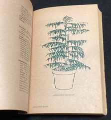 Consumer Guide Joy Indoor Plants Choosing Growing Caring 1975 Everything Need