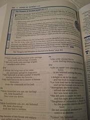 NIV Essentials Study Bible Zondervan 2013 HCDJ Illustrated NO MARKS Color Maps