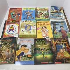Boys Chapter Book Lot 30 Big Nate Encyclopedia Brown Aliens for Breakfast