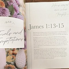 The Daily Grace Co. James: The Steadfast Life Schmucker PB 2017 Study Guide