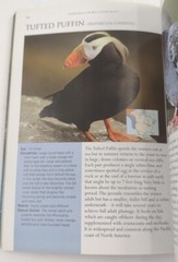 A Field Guide To The Birds Of North America Paperback 255 Pages Copyright 2007