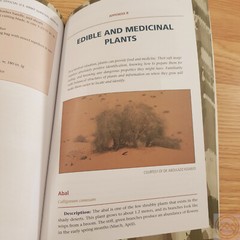 U.S. Survival Manual Book Outdoor Enthusiasts Pictures / Illustrations 428 Pages