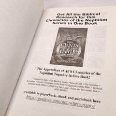David Ascendant Chronicles of the Nephilim Book Seven Godawa, Brian