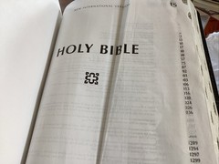 NIV Thinline Reference Bible by Zondervan Staff (2011 Bonded Leather) Thumb Ind