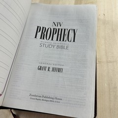 NIV Prophecy Marked Reference Study Bible Bonded Leather 1999 Zondervan