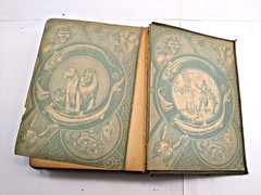 The Savage World A Complete Natural History J.W. Buel (1891, HC) 1st Eds Book