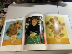 Van Gogh A Retrospective Edited By Susan Alyson Stein 1986 Park Lane HC/DJ