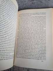 The Naked and the Dead Norman Mailer 1948 Holt Rinehart and Winston 5th Printing
