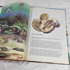 Dinosaurs And Prehistoric Animals Book Vintage 1981 Kid’s Hardcover Honey Bear