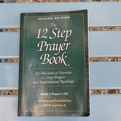 The 12 Step Prayer Book 2nd Edition Volume 1 Bill P & Lisa D Paperback