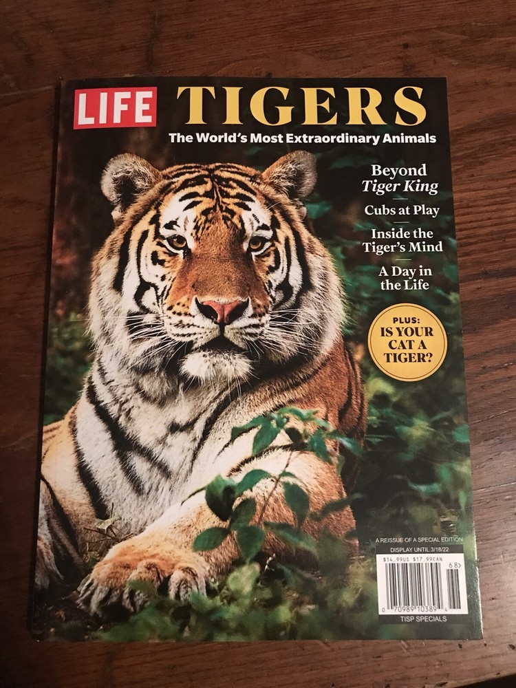 MAGAZINE_**TIGERS**_ 2021_LIFE_BIG CAT_*INSIDE THE TIGER’S MIND*_NEW UNREAD COPY