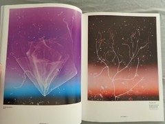 Aperture Magazine 244 Cosmologies Judith Joy Ross Awol Erizku Batia Suter Galaxy
