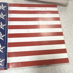 Madam President Lane Smith Hardcover Childrens Picture Book Caldecott Honor